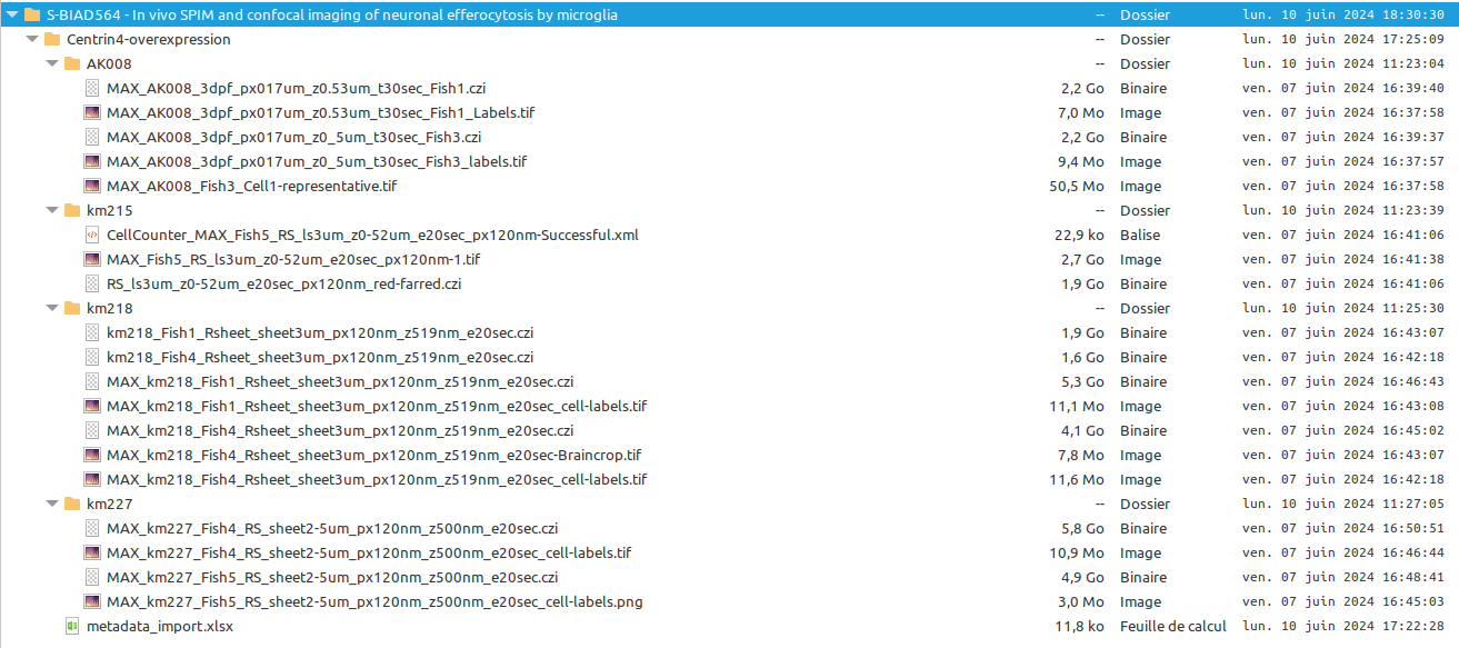 hierarchie_ISA_tampon